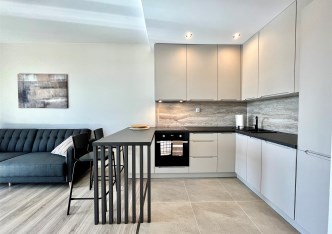 apartment for rent - Kraków, Dębniki, Ruczaj, dr. Jana Piltza