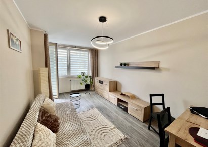 apartment for rent - Kraków, Dębniki, Ruczaj, Piltza