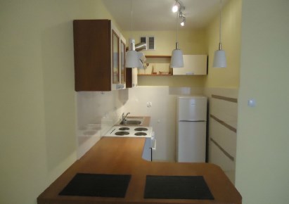apartment for rent - Kraków, Dębniki, Ruczaj, Lubostroń