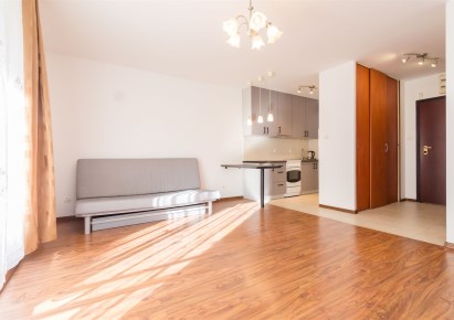 mieszkanie na wynajem - Kraków, Dębniki, Ruczaj, Lubostroń